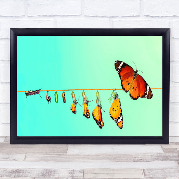 caterpillar life cycle nature butterfly Wall Art Print