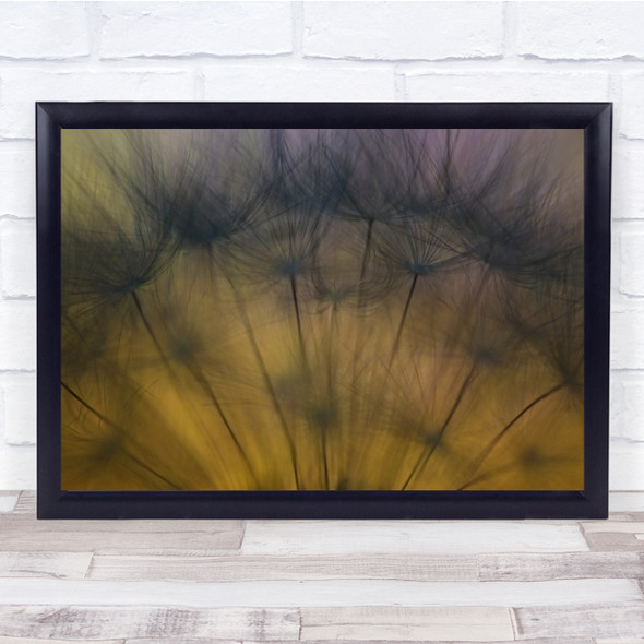 Dandelion Soft Tender Flower Downy Tuft Wall Art Print