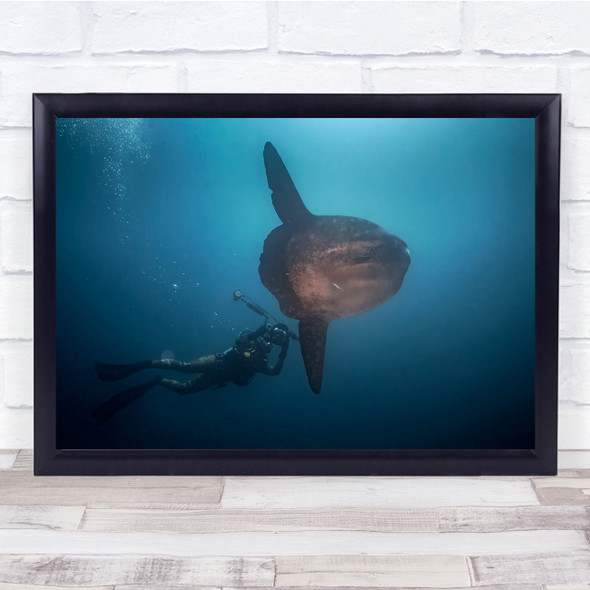 Mola Hunter scuba diver underwater Fish Wall Art Print