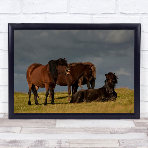 nature Animals Horses Rural Countryside Wall Art Print