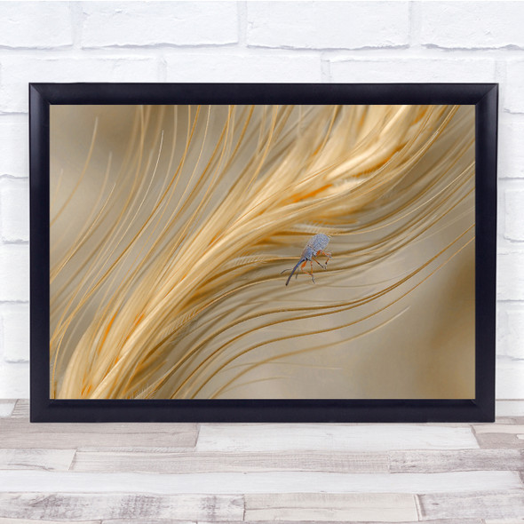 Nature Insect Weevil In The Autumn Wind Wall Art Print