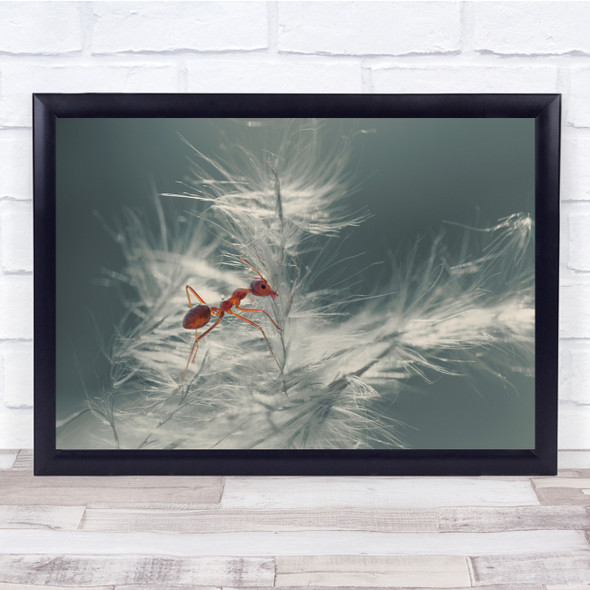 Red Ants Insects Macro nature dandelion Wall Art Print