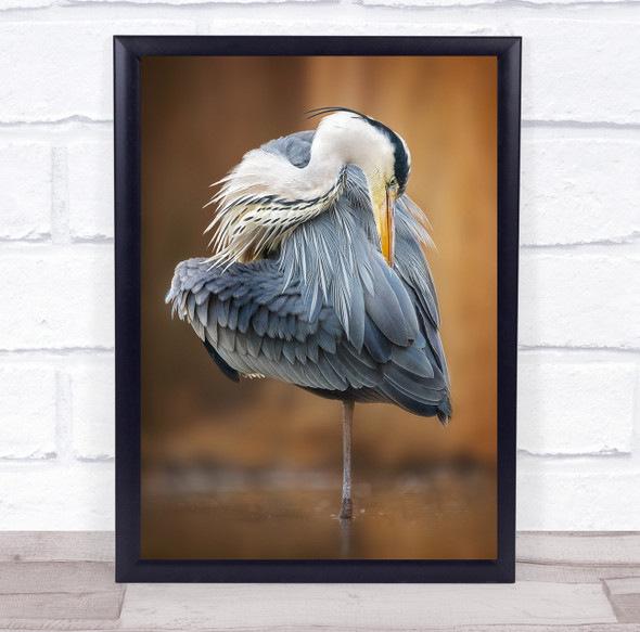 Show My Heart bird in lake itching beak Wall Art Print