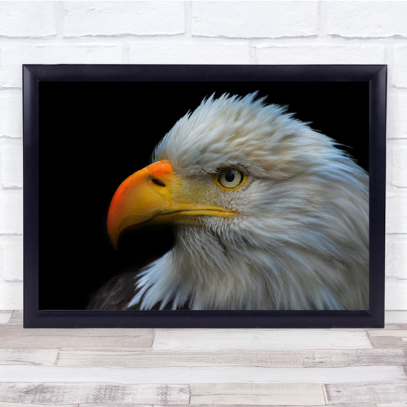 Bald Eagle Portrait Close up Patriotic Wall Art Print