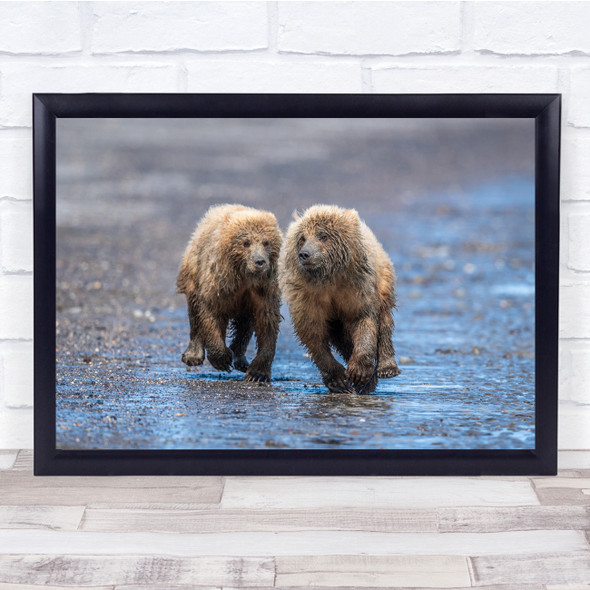 Brown Bear Nature Chasing Run Wildlife Wall Art Print