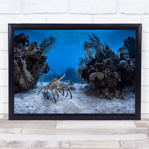 Crossing Crab Sea Creature Water Floor Wall Art Print
