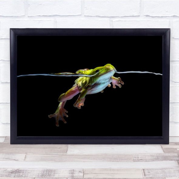 Frog Water Surface Animal Macro nature Wall Art Print