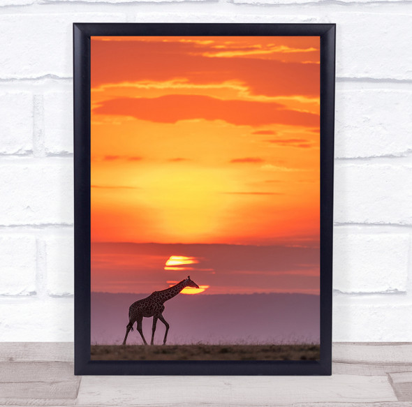 Giraffe Under Sunshine wildlife animal Wall Art Print