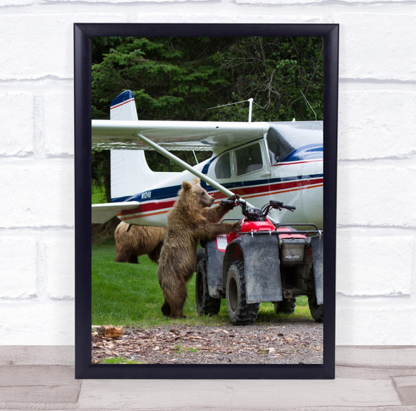 Grizzly bear quad bike airplane forest Wall Art Print