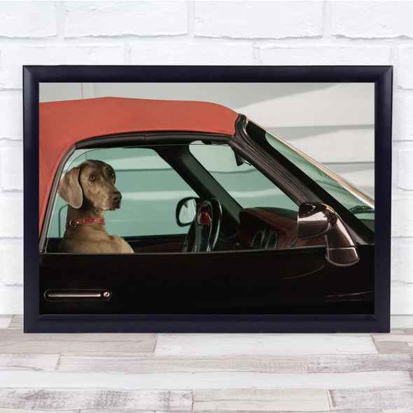 Landscape Dog Driving Car Funny Humour Wall Art Print