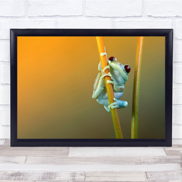 Love At First Sight Cute Frog Red eyes Wall Art Print