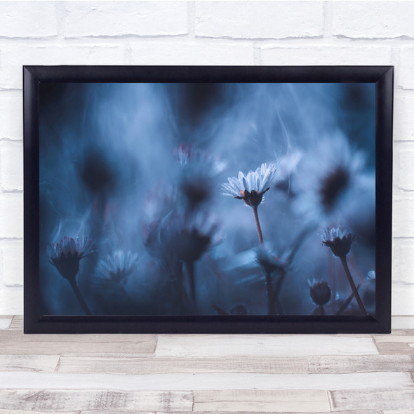 Macro Daises Bokeh Blur Garden Flowers Wall Art Print