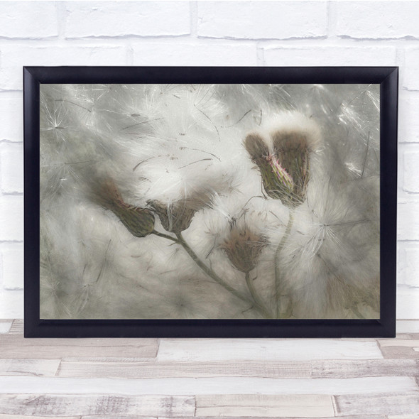 Thistle Flower Seed Fluff Wind texture Wall Art Print