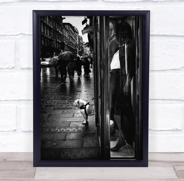 walking in rain umbrellas bulldog city Wall Art Print