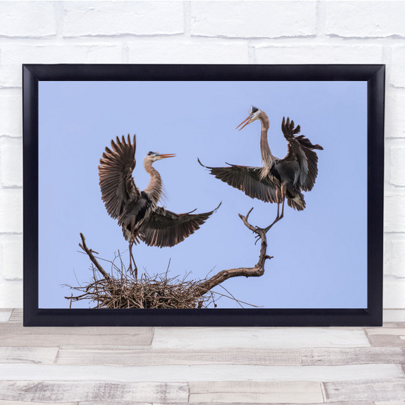 Wildlife Heron Bird Nest Nature Animal Wall Art Print