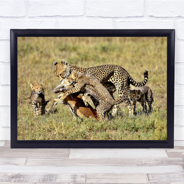 Wildlife Nature Animals Feline Hunting Wall Art Print