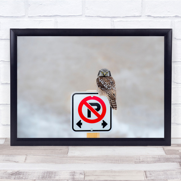 Owl Sign Bokeh Wildlife Nature Animal Wall Art Print