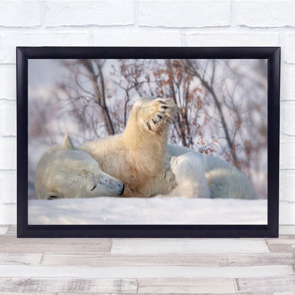 Alaska Polar Bears Winter nature play Wall Art Print