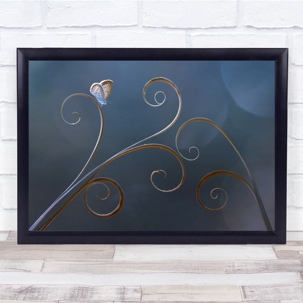 Butterflies Macro Insects Curve Curls Wall Art Print