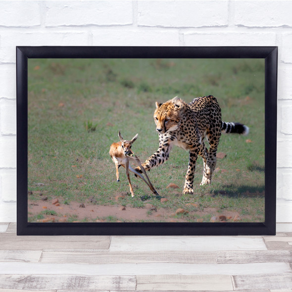 Cheetah Gazelle Hunting Predator Prey Wall Art Print