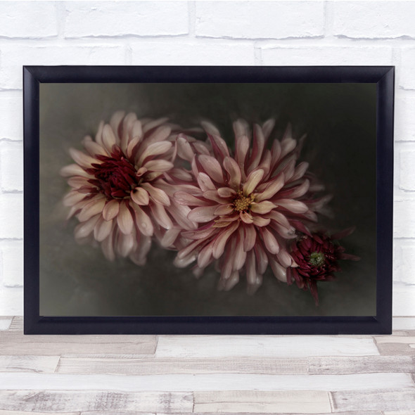 Flower Soft Dahlias Flowers Botanical Wall Art Print