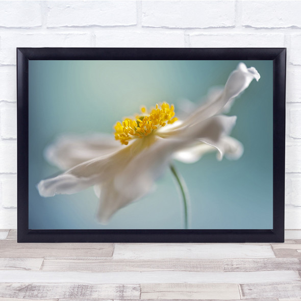 Macro Flower Summer Soft Bokeh Autumn Wall Art Print