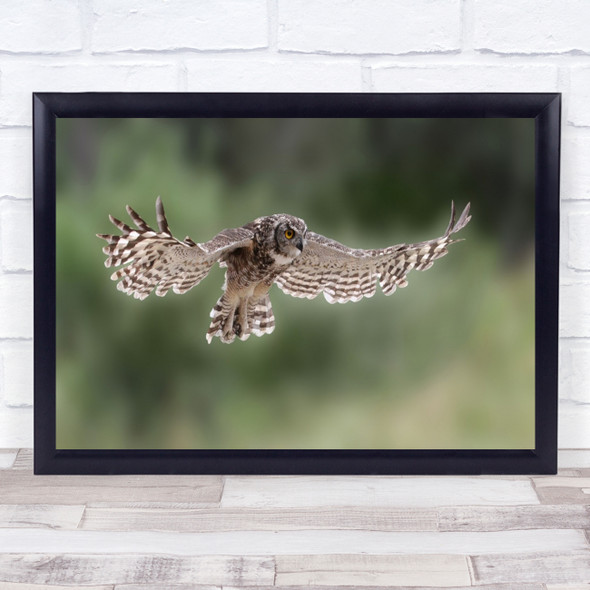 Owl Wings Flying Hunter Predator Hunt Wall Art Print