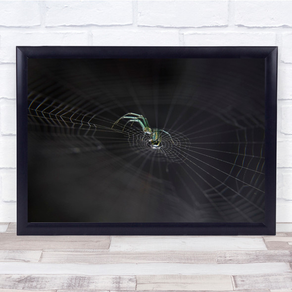 Spider Macro Web Strings Of Existence Wall Art Print