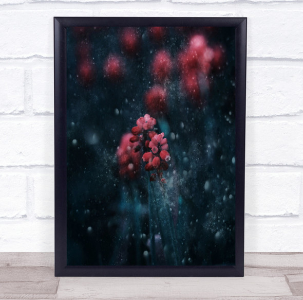 A Snowy Evening red flowers close up Wall Art Print