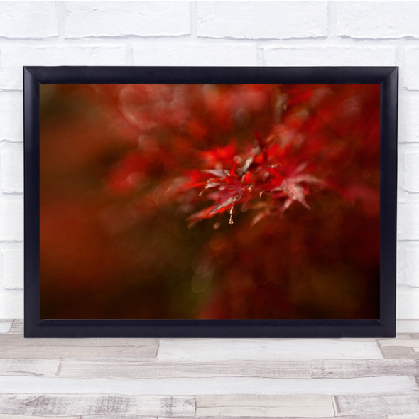 Autumn Colour Raindrop Leaf Fall Red Wall Art Print