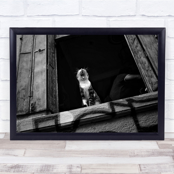 Cat roar animal Black & White window Wall Art Print