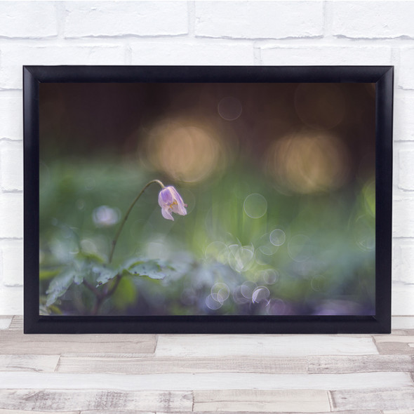 Floral Botanical Pastel Colour Bokeh Wall Art Print