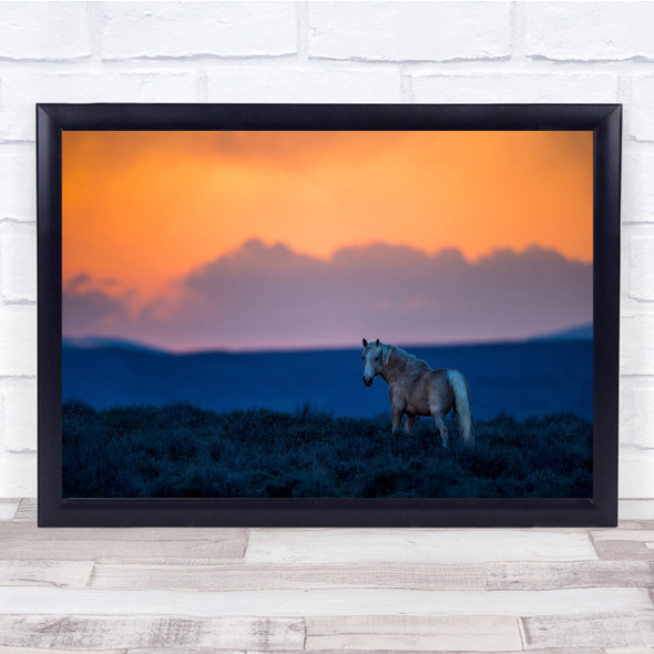 Last Look Of The Day horse in sunset Wall Art Print