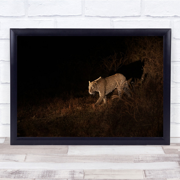 Leopard Night Feline Wildlife Nature Wall Art Print