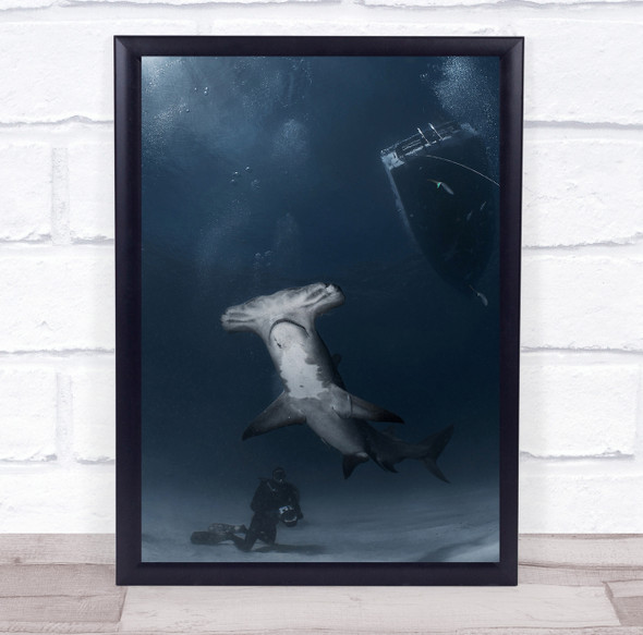 Look Up Hammerhead shark scuba diver Wall Art Print