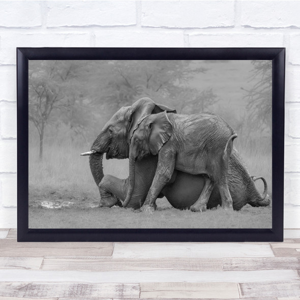 Mother Elephant Baby Calf Love Kenya Wall Art Print