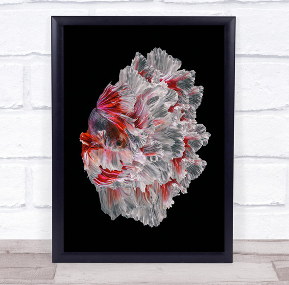 The Wedding Dress beautiful red fish Wall Art Print