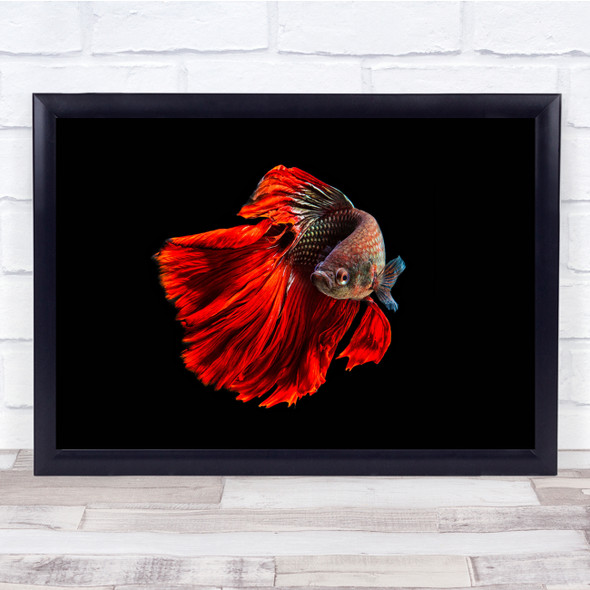 Angry Fish red fin black sea scales Wall Art Print