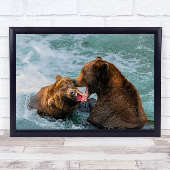 bears Fighting water action animals Wall Art Print