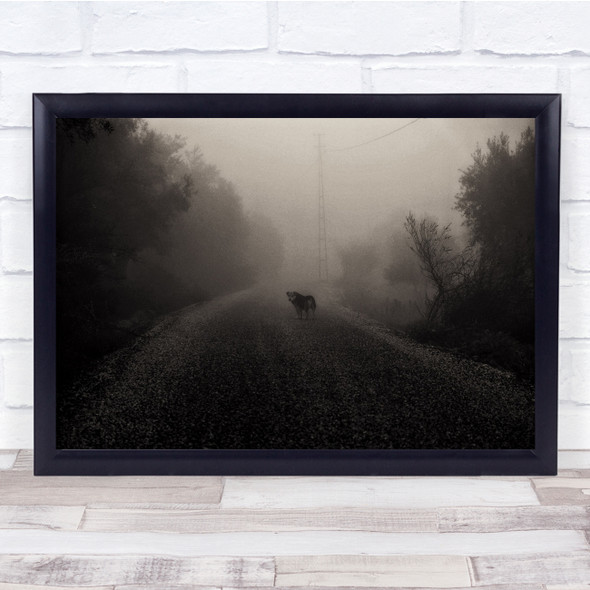 Dog Walking Path Trees Bushes Foggy Wall Art Print