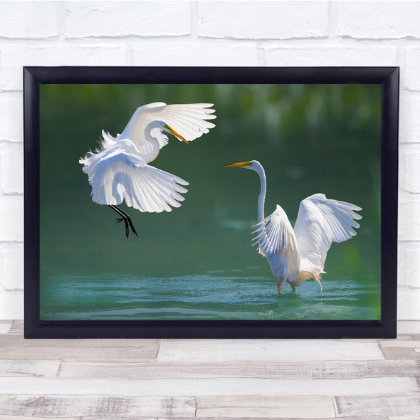 Egret Birds Wildlife Animals nature Wall Art Print