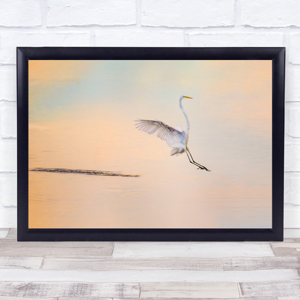 Elegant bird wing spread orange sky Wall Art Print