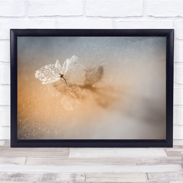 Seedling Macro Seed Delicate Gentle Wall Art Print