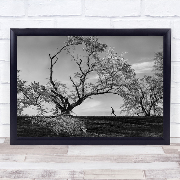 Tree Man Black White Lonely Walking Wall Art Print