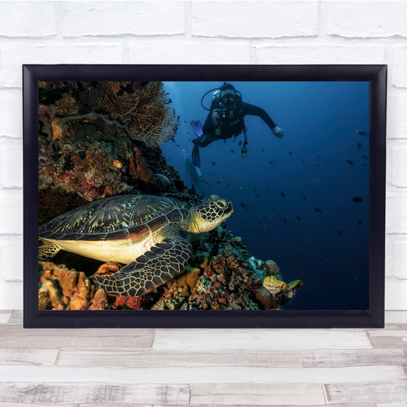 Turtle close up scuba diver Sealife Wall Art Print