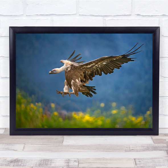 Vulture Bird Landing Bokeh Wildlife Wall Art Print