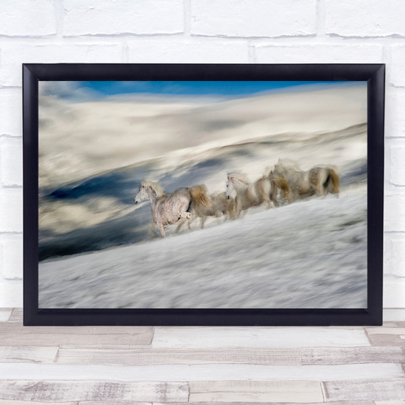 Winter In High Mountains Snow horse Wall Art Print