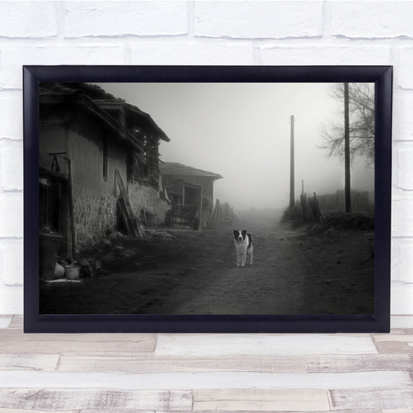 Dog Border Collie Farm Black White Wall Art Print