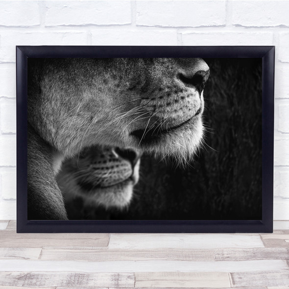 Double Lions Faces Fur Black White Wall Art Print