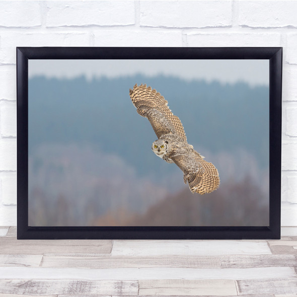 Great Horned Owl Wings action bird Wall Art Print